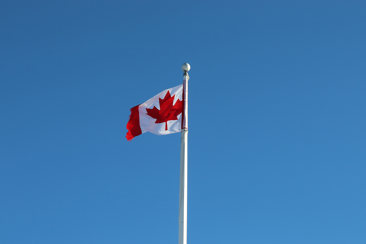 Journée importante pour la santé mondiale : le gouvernement du Canada, chef de file des efforts pour éradiquer la COVID-19