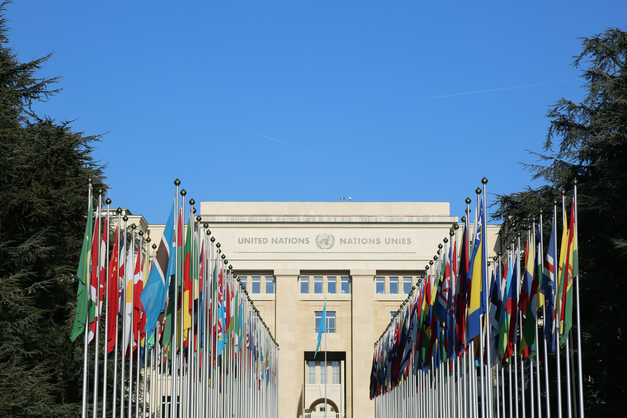 Le CanSFE à la 70e session de la Commission de la condition de la femme de l’ONU (CSW70) : bilan et faits saillants